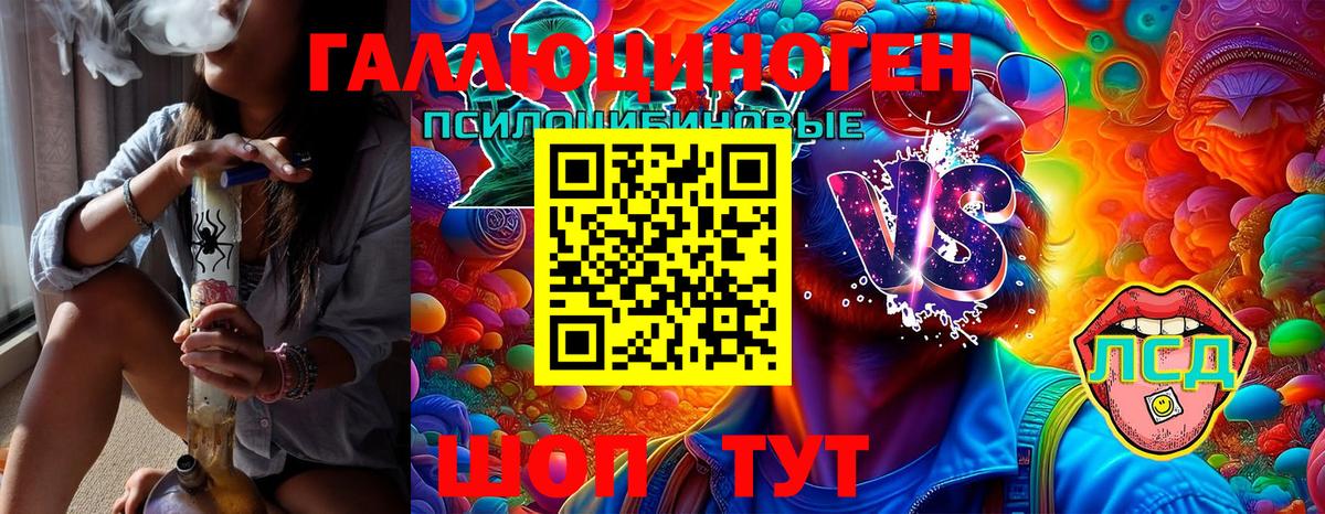Лесосибирск  Галлюциногенные грибы Psilocybine cubensis  Вход с VPN 